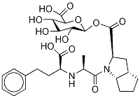 RaMiprilat Acyl-β-D-glucuronide >65% Struktur