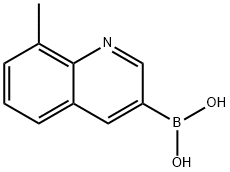 (8-methylquinolin-3-yl)boronic acid Struktur