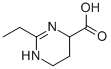 4-Pyrimidinecarboxylicacid,2-ethyl-1,4,5,6-tetrahydro-(9CI) Struktur