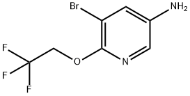 5-Bromo-6-(2,2,2-trifluoroethoxy)-pyridin-3-ylamine Struktur