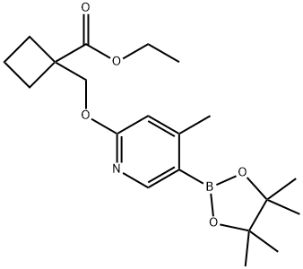 ethyl 1-(((4-Methyl-5-(4,4,5,5-tetraMethyl-1,3,2-dioxaborolan-2-yl)pyridin-2-yl)oxy)Methyl)cyclobutanecarboxylate Struktur