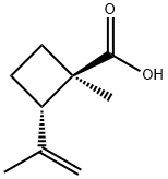 Cyclobutanecarboxylic acid, 1-methyl-2-(1-methylethenyl)-, (1R-trans)- (9CI) Struktur