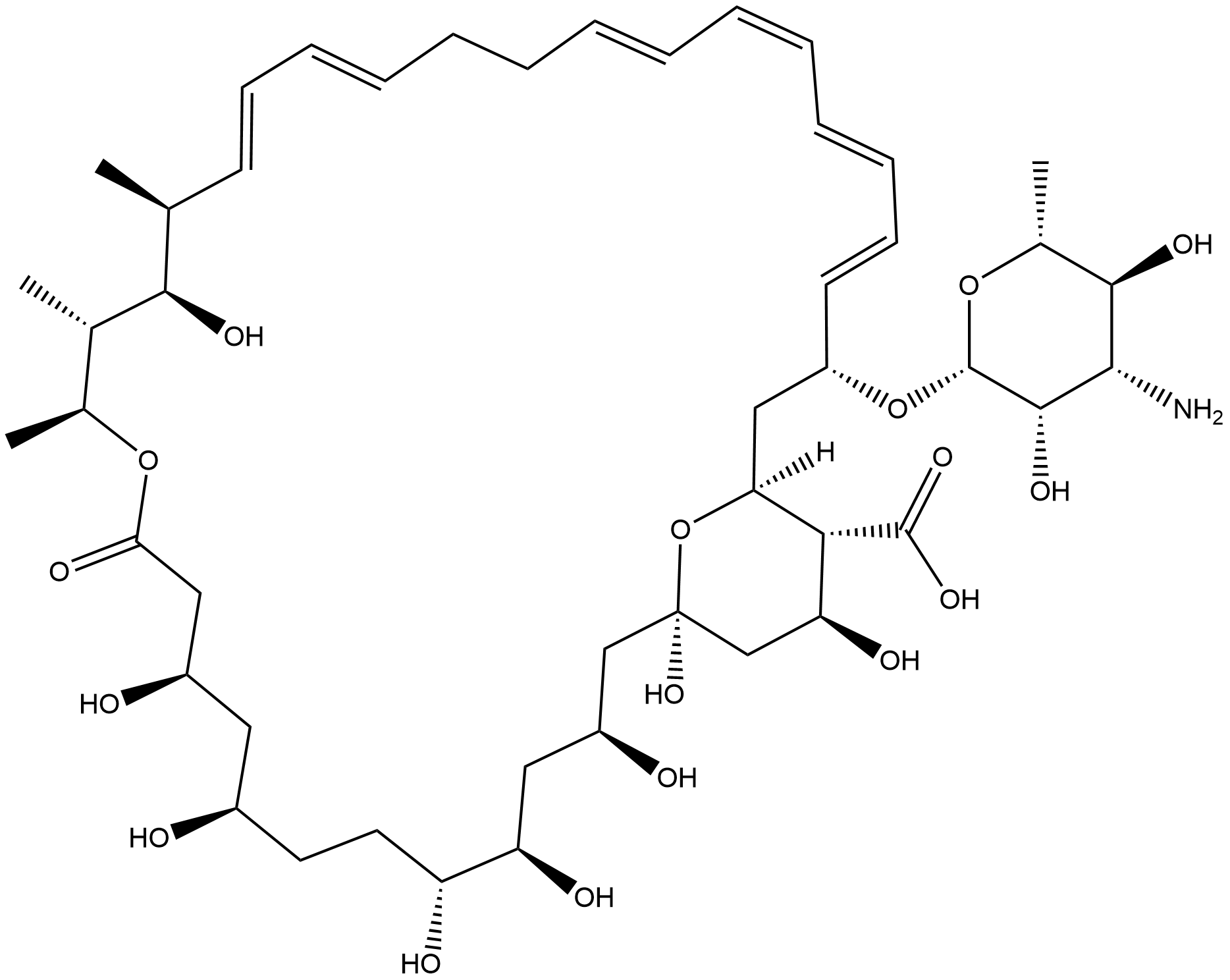 amphotericin A Struktur