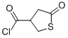 3-Thiophenecarbonyl chloride, tetrahydro-5-oxo- (9CI) Struktur