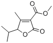 5-ISOPROPYL-4-METHYL-3-(METHOXYCARBONYL)-3,4-DIDEHYDRO-GAMMA-BUTYROLACTONE Struktur