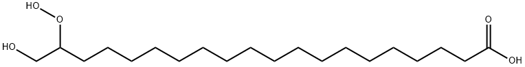 19-hydroperoxy-20-hydroxyarachidic acid Struktur