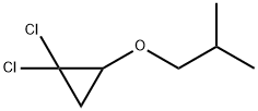 1-(2,2-dichlorocyclopropyl)oxy-2-methyl-propane Struktur