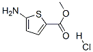 5-AMINOTHIOPHENE-2-CARBOXYLICMETHYLESTERHYDROCHLORIDE Struktur