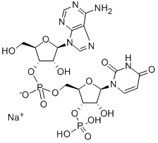 ADENYLYL(3'>5')URIDINE 3'-MONOPHOSPHATE SODIUM Struktur