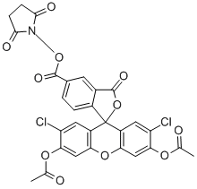 5(6)-CARBOXY-2',7'-DICHLOROFLUORESCEIN DIACETATE N-SUCCINIMIDYL ESTER Struktur