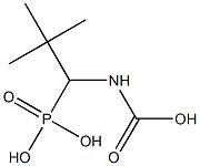 Carbamic acid, (phosphonomethyl)-, C-(1,1-dimethylethyl) ester (9CI) Struktur