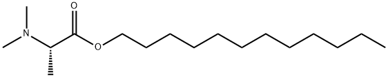 dodecyl 2-dimethylaminopropanoate