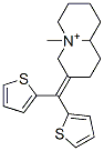 tiquizium Struktur