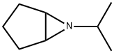 6-Azabicyclo[3.1.0]hexane,6-(1-methylethyl)-(9CI) Struktur