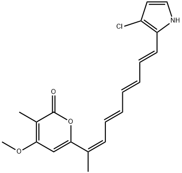 RUMBRIN Struktur