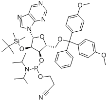 NEBULARINE CEP Struktur