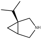 3-Azabicyclo[3.1.0]hexane,1-(1-methylethyl)-,(1R)-(9CI) Struktur