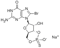 SP-8-BR-CGMPS Struktur