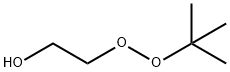 2-[(1,1-dimethylethyl)dioxy]ethanol Struktur