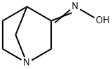 1-Azabicyclo[2.2.1]heptan-3-one,oxime(9CI) Struktur