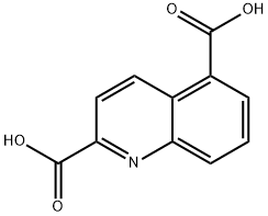 2,5-Quinolinedicarboxylicacid(9CI) Struktur