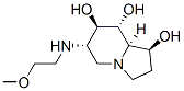 1,7,8-Indolizinetriol, octahydro-6-(2-methoxyethyl)amino-, 1S-(1.alpha.,6.beta.,7.alpha.,8.beta.,8a.beta.)- Struktur