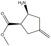 Cyclopentanecarboxylic acid, 2-amino-4-methylene-, methyl ester, cis-(-)- (9CI) Struktur