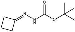 Hydrazinecarboxylic acid, cyclobutylidene-, 1,1-dimethylethyl ester (9CI) Struktur