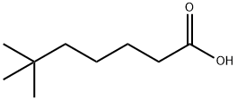 6,6-DIMETHYLHEPTANOIC ACID