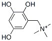 5-hydroxy-3-((trimethylammonio)methyl)catechol Struktur