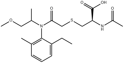 METOLACHLORMERCAPTURATE Struktur