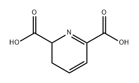 2,3-dihydropyridine-2,6-dicarboxylic acid Struktur