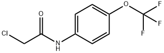 N-(CHLOROACETYL)-4-(TRIFLUOROMETHOXY)ANILINE Struktur