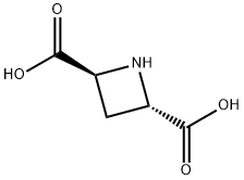 (+/-)-TRANS-AZETIDINE-2,4-DICARBOXYLIC ACID Struktur