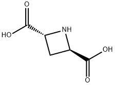 (2R,4R)-(+)-AZETIDINE-2,4-DICARBOXYLIC ACID Struktur