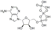 ADENOSINE 5'-TRIPHOSPHATE Struktur