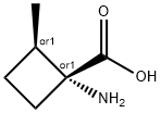 Cyclobutanecarboxylic acid, 1-amino-2-methyl-, trans- (9CI) Struktur