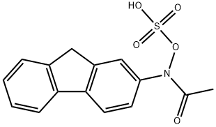 2-acetylaminofluorene-N-sulfate Struktur