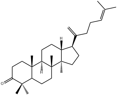 Dammara-20(21),24-diene-3-one Struktur