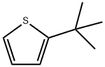 2-T-BUTYLTHIOPHENE