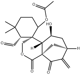 ISODONAL Struktur