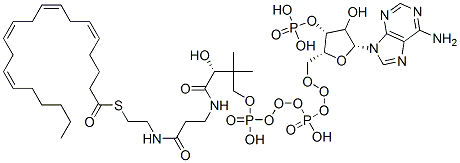 S-[2-[3-[[(2R)-4-[[[(2R,3R,5R)-5-(6-aminopurin-9-yl)-4-hydroxy-3-phosphonooxyoxolan-2-yl]methoxy-hydroxyphosphoryl]oxy-hydroxyphosphoryl]oxy-2-hydroxy-3,3-dimethylbutanoyl]amino]propanoylamino]ethyl] (5Z,8Z,11Z,14Z)-icosa-5,8,11,14-tetraenethioate Struktur