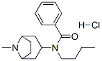 N-butyl-N-(8-methyl-8-azabicyclo[3.2.1]oct-3-yl)benzamide hydrochlorid e Struktur