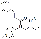 (E)-N-butyl-N-(8-methyl-8-azabicyclo[3.2.1]oct-3-yl)-3-phenyl-prop-2-e namide hydrochloride Struktur