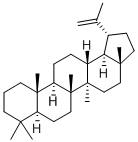 LUP-20(29)-ENE Struktur