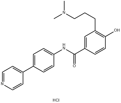 3-[3-(DIMETHYLAMINO)PROPYL]-4-HYDROXY-N-[4-(4-PYRIDINYL)PHENYL]BENZAMIDE DIHYDROCHLORIDE Struktur