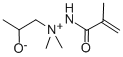 1,1-Dimethyl-1-(2-hydroxypropylamine)methacrylimide. Struktur