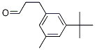 Benzenepropanal, 3-(1,1-diMethylethyl)-5-Methyl- Struktur