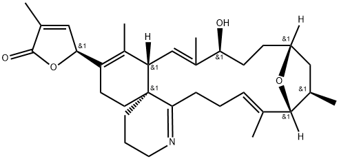 gymnodimine Struktur