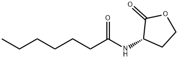 C7-HSL price.